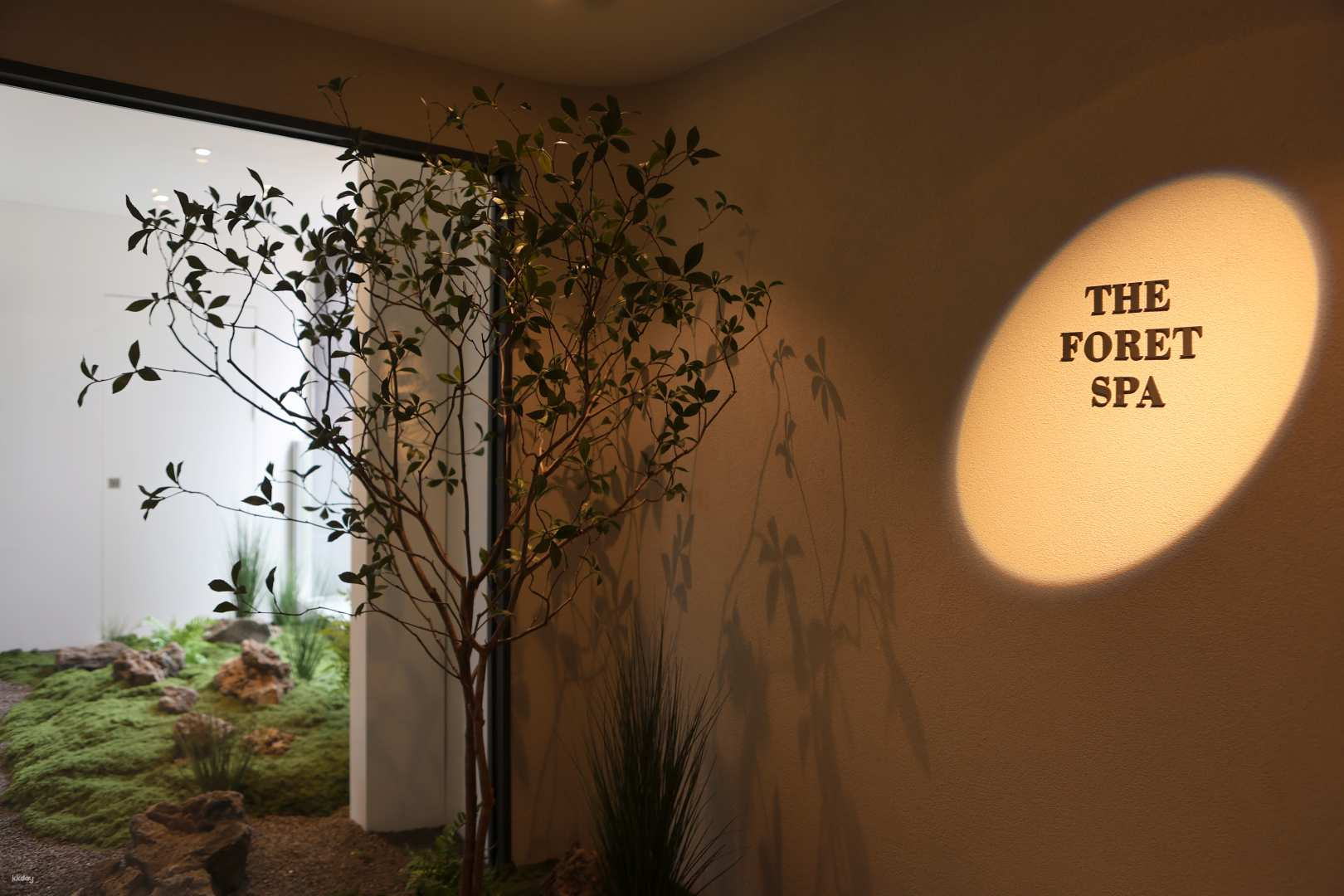 SEOUL SPA | THE FORET SPA Gwanghwamun Branch in Jongno - Photo 1 of 10